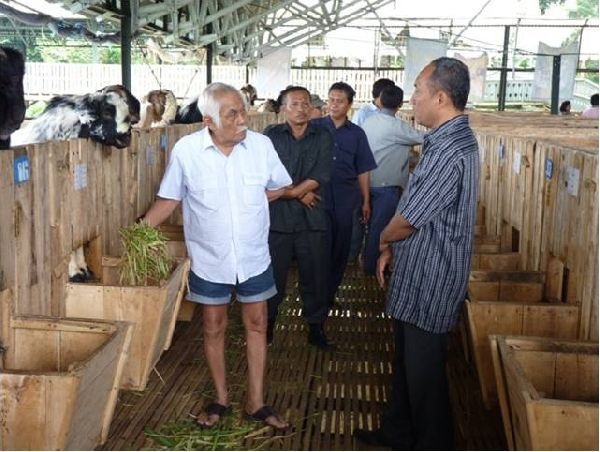Bergelut di lapangan membuatmu jadi perasa