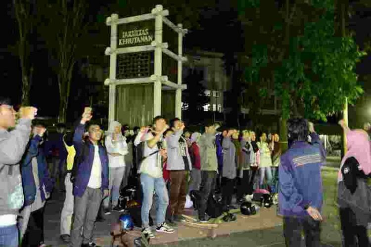 Kuliah di Fakultas Kehutanan