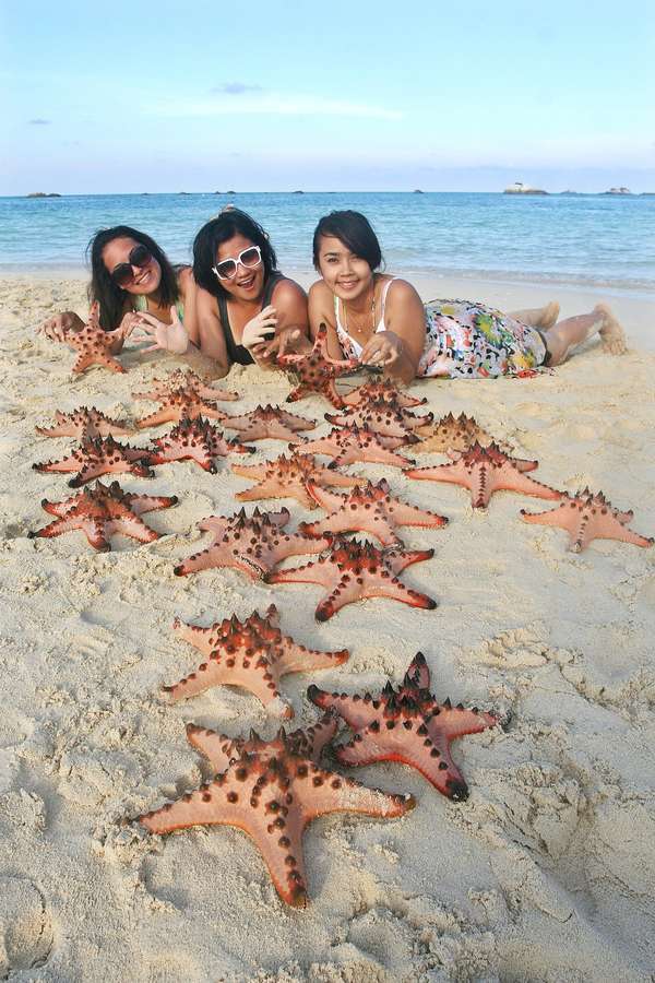 Bintang laut di pantai pasir