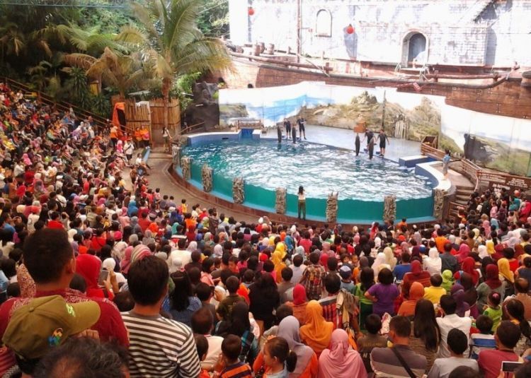 Atraksi Lumba-Lumba Itu Bukan Pelestarian Atau Edukasi, Tapi Justru Eksploitasi! 15 Lumba-lumba di kolam yang sempit