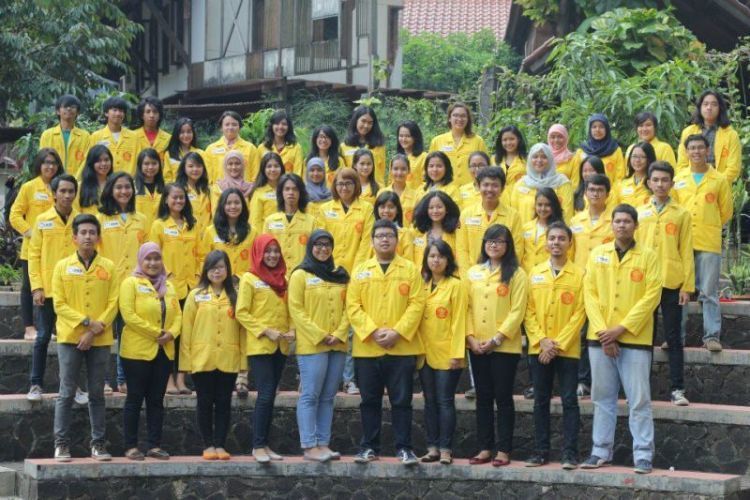 We are The Yellow Jacket!