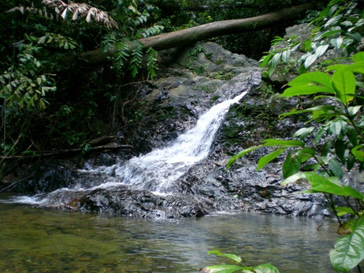 Sumber air di gunung.