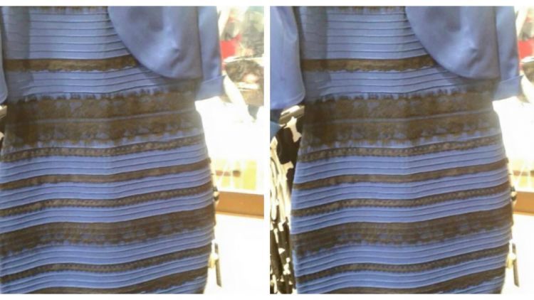 Jadi, Apakah Dress Ini Berwarna Biru-Hitam atau Putih-Emas ? Jawaban yang Benar Adalah…