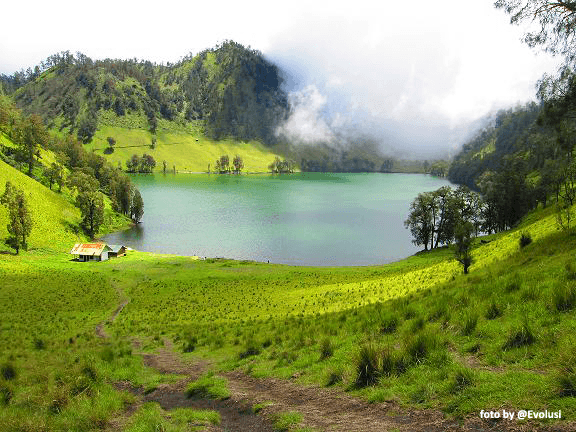 Wahai Pendaki Pemula, Ini 5 Alasan Ranu Kumbolo Layak Jadi Destinasi Pendakian Pertama Kamu!