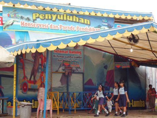 Atraksi Lumba-Lumba Itu Bukan Pelestarian Atau Edukasi, Tapi Justru Eksploitasi! 17 Adakah nilai edukasi dalam atraksi lumba-lumba?