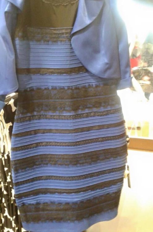 Jadi, Apakah Dress Ini Berwarna Biru-Hitam atau Putih-Emas ? Jawaban yang Benar Adalah... 21 Ini biru
