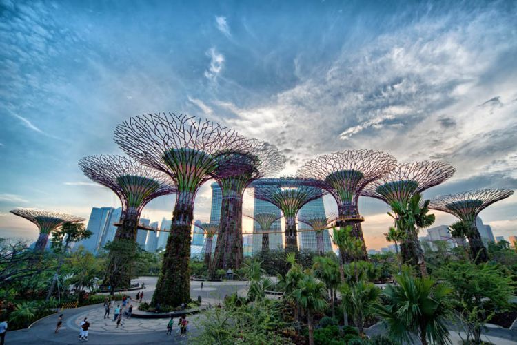 Gardens by the Bay