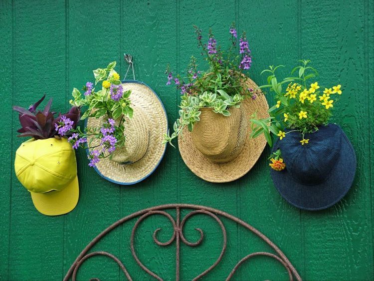 Berkebun dengan topi juga bisa jadi solusi