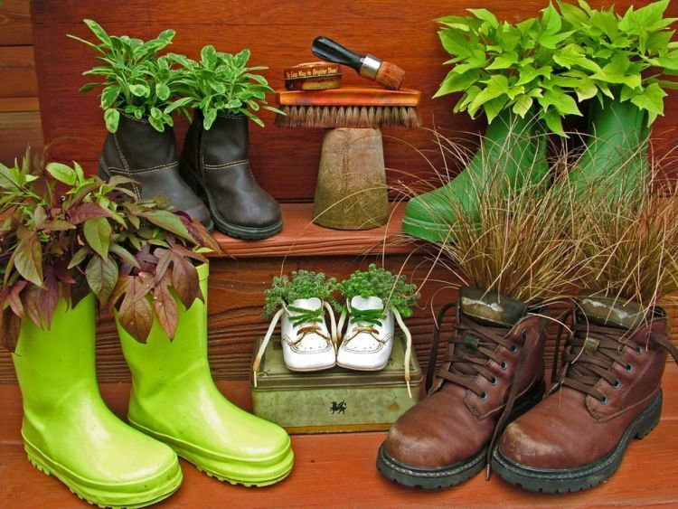 Menanam di sepatu bekas