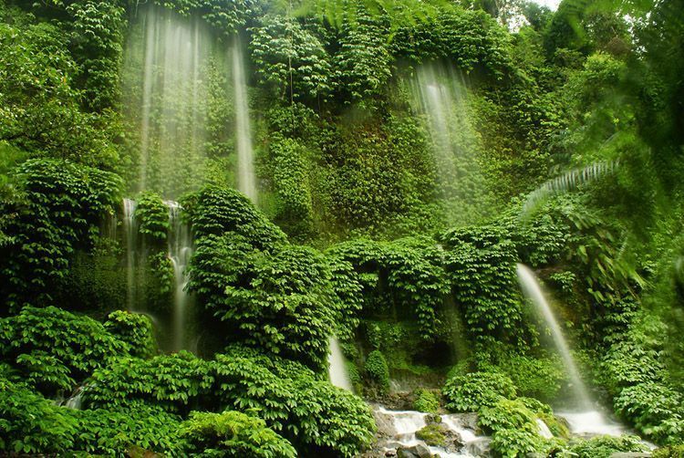 Perpaduan lebatnya pohon dan segarnya air terjun benang kelambu