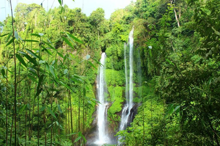 Pesona air terjun sekumpul di hutan buleleng, bali