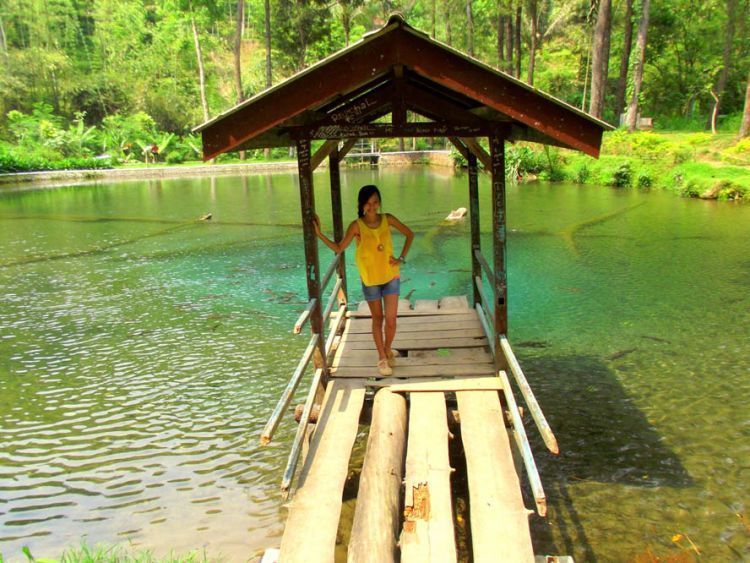 10+ Destinasi Wisata di Blitar, Suasana Alam Indah dan Bisa Belajar Sejarah 32 Destinasi wisata di Blitar