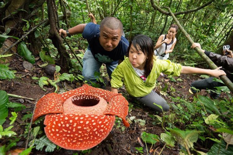 destinasi wisata Sumbar