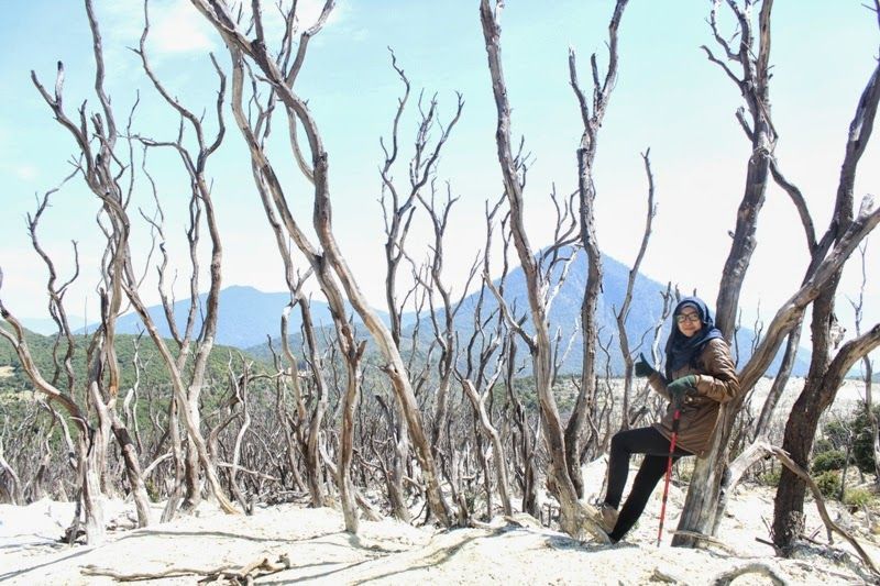Untuk Bapak & Ibu yang Selama Ini Melarangku Mendaki: Izinkanlah Aku Naik Gunung, Sekali Ini