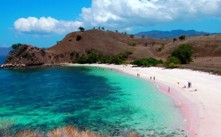 Pantai berpasir pink di Lombok