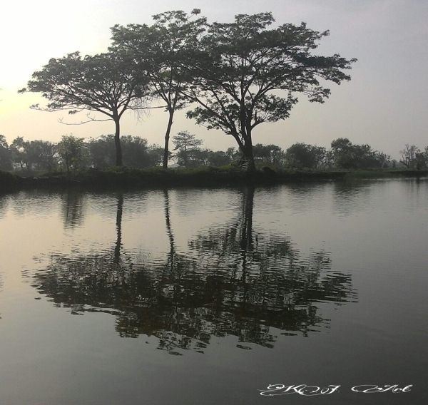 Foto hasil karya dari jepretan smartphone (dok. pribadi)