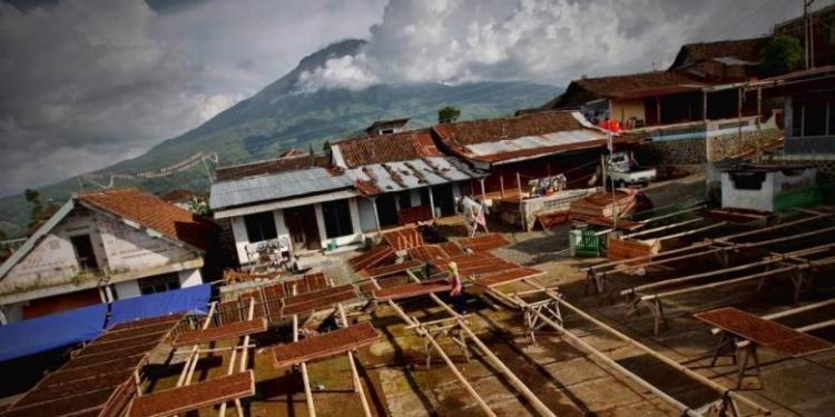 Tembakau menghidupi banyak keluarga di Indonesia