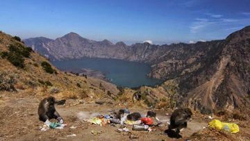 Sampah di Gunung Rinjani: Apakah Kita Akan Kehilangan Surga Karena Ulah Kita Sendiri?