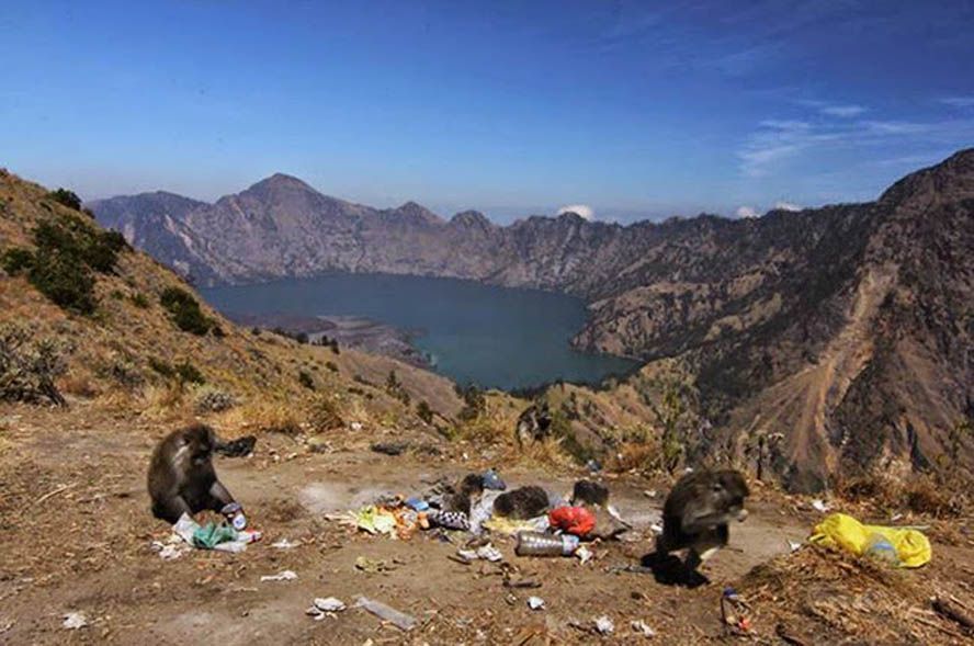 Sampah di Gunung Rinjani: Apakah Kita Akan Kehilangan 