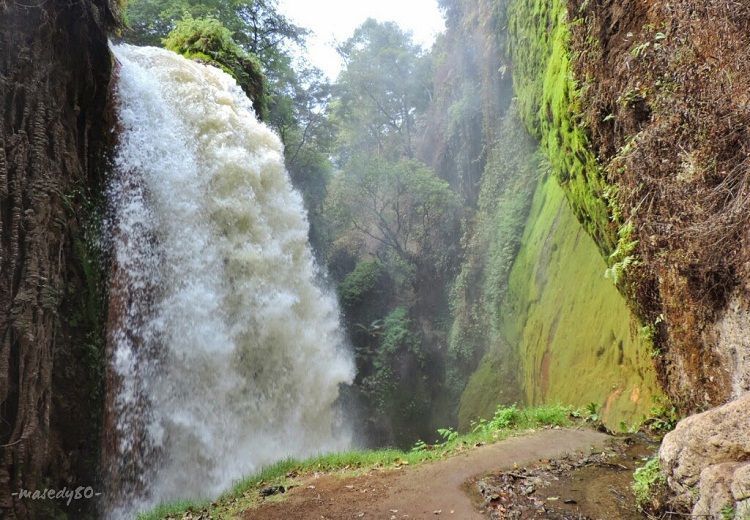 Wisata di Bondowoso