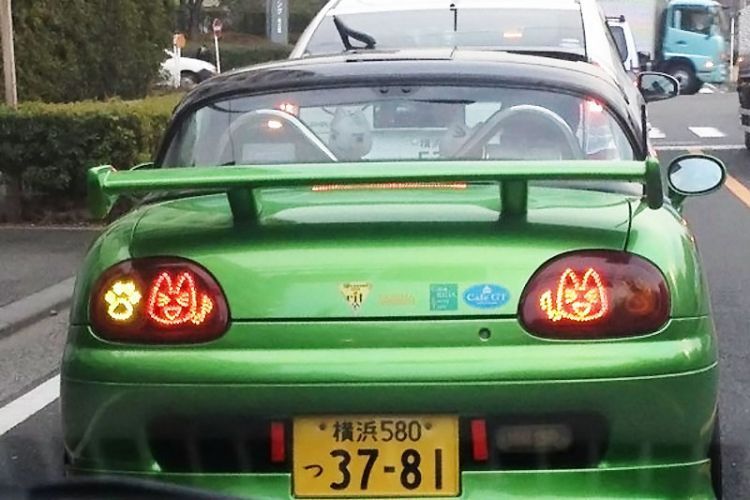 hGVXFXp