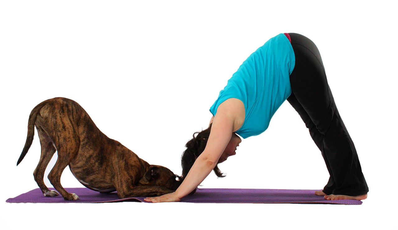 8 Gaya Yoga yang Ampuh Menghalau Bahaya Kesehatan Buatmu yang Duduk Terlalu Lama