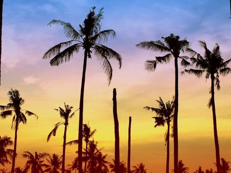 destinasi wisata Pekalongan
