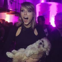[Kuis] Seberapa Swifties-kah Kamu?