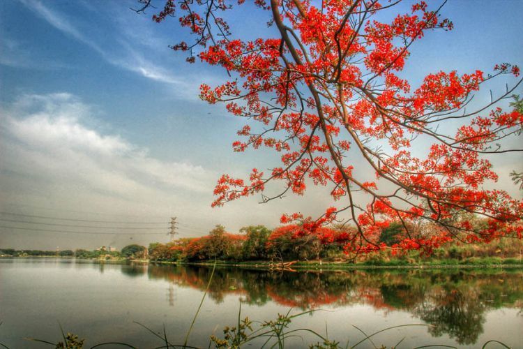 Telaga Ngipik