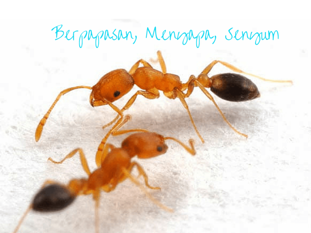 Aku Nyaman denganmu Sahabatku, Bagaimana Jika Aku Memilihmu?