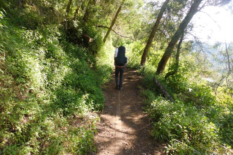 Wahai Pendaki Pemula, Ini 5 Alasan Ranu Kumbolo Layak Jadi Destinasi Pendakian Pertama Kamu!