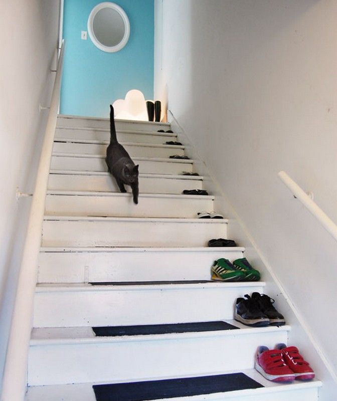 Tempat sepatu buat si sepatu olahraga