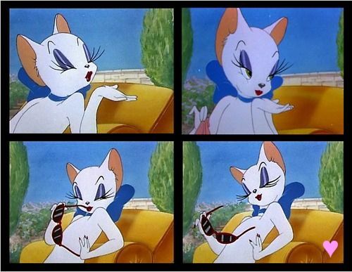 Toodles Galore, kucing cantik yang jadi idaman Tom