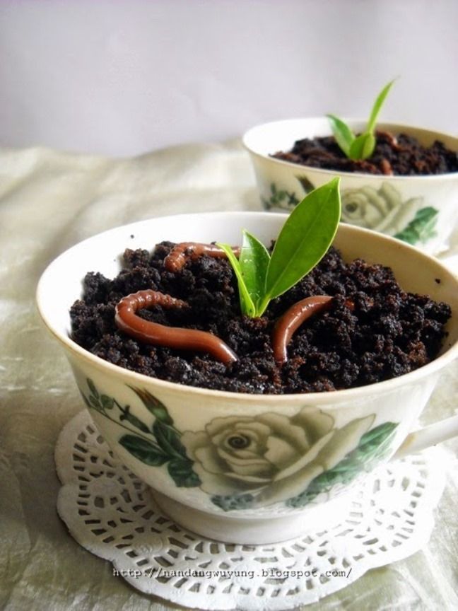 Resep es krim pot dengan cacing