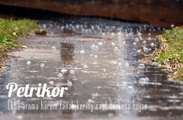 Bukti Bahasa Indonesia Itu Kaya. Inilah 9 Kata Pilihan Keren yang Bisa Menginspirasimu