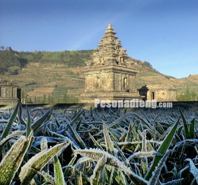 8 Keunikan yang Ditawarkan Dieng, Negeri di Atas Awan yang Sulit Ditemukan di Tempat Lain di Indonesia