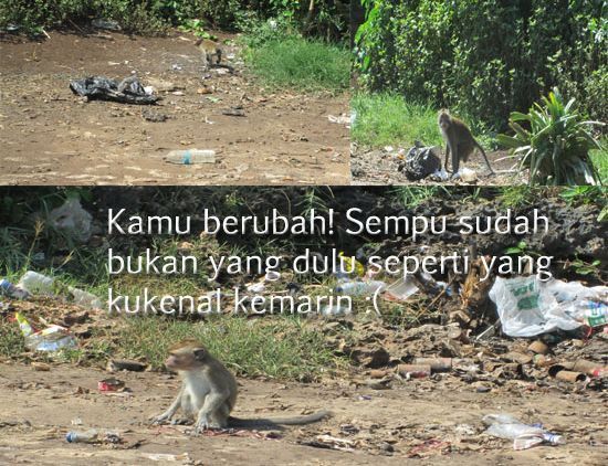 Karena Alam adalah Rumah Kita, Sudah Sepatutnya Kita Menjaganya Layaknya Menjaga Diri Sendiri