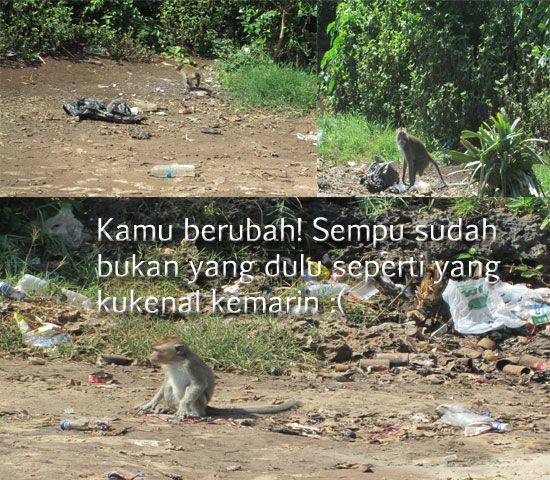 Karena Alam adalah Rumah Kita, Sudah Sepatutnya Kita Menjaganya Layaknya Menjaga Diri Sendiri