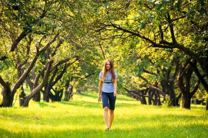 Walk Trough