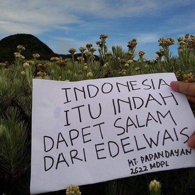 Aku Tahu Indonesia Itu Indah. Sayang, Aku Belum Sempat Menikmatinya