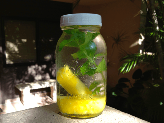 7 Minuman yang Bisa Kamu Racik Sendiri, dan Bikin Perut Rata Gak Mustahil Lagi 14 Gak mau ribet tapi tetap mau perut kurus? Minum pineaple dan mint infused water ini