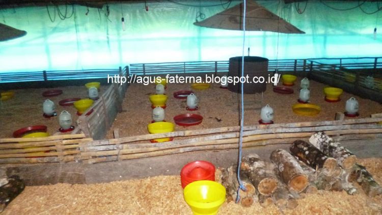 Lulusan S.Pt, Pahami Pekerjaan Technical Service Ini Sebelum Terjun di Dalamnya.
