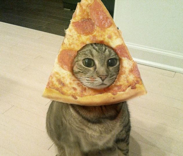 Lama. Aku taruh pizza di muka saja