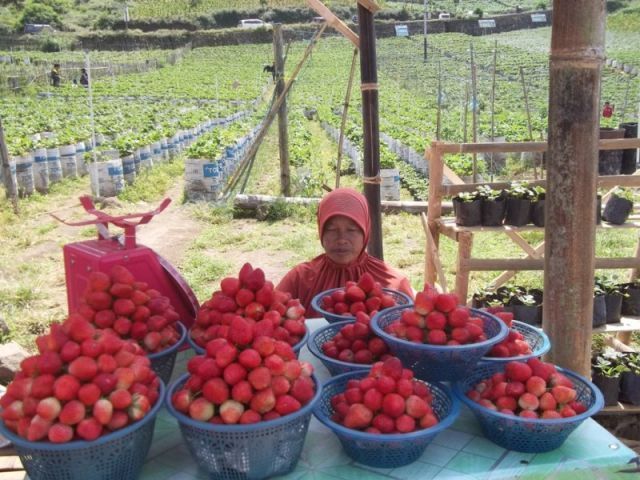10 Destinasi Wisata Magetan, 
