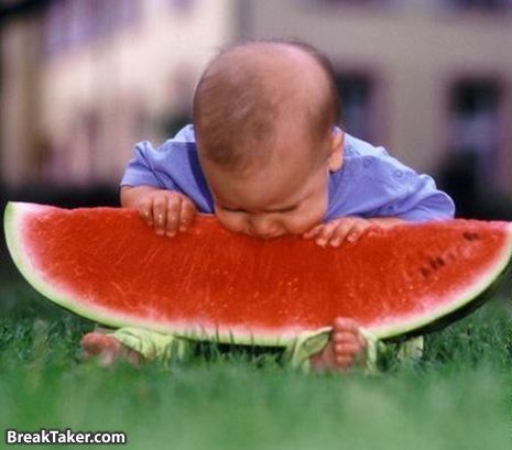 hungry?