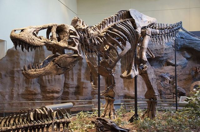 Museum Geologi Bandung