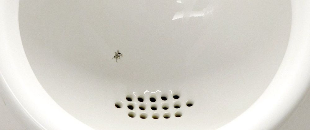 Alasan Kenapa Ada Lalat (Ya, Lalat) di Urinoir Toilet Cowok