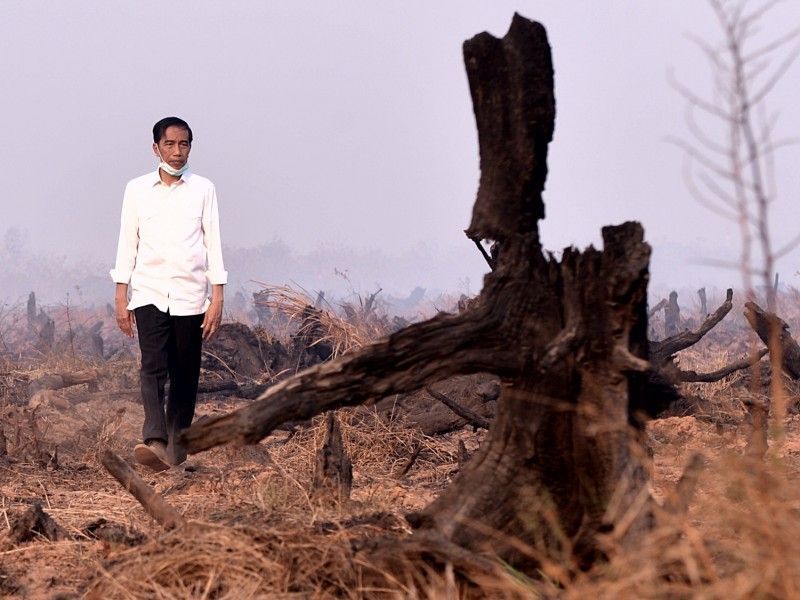 Maaf Pak Jokowi, Sekadar Blusukan Tidak Akan Memadamkan Api