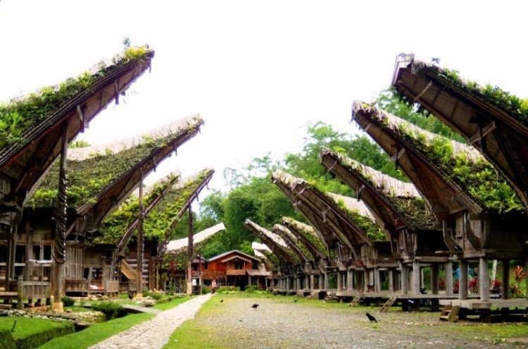 Toraja, Sulawesi Selatan