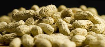 Kacang kulit asoy